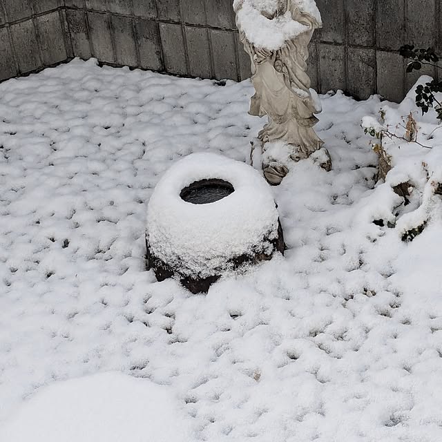 machikomamaさんの実例写真