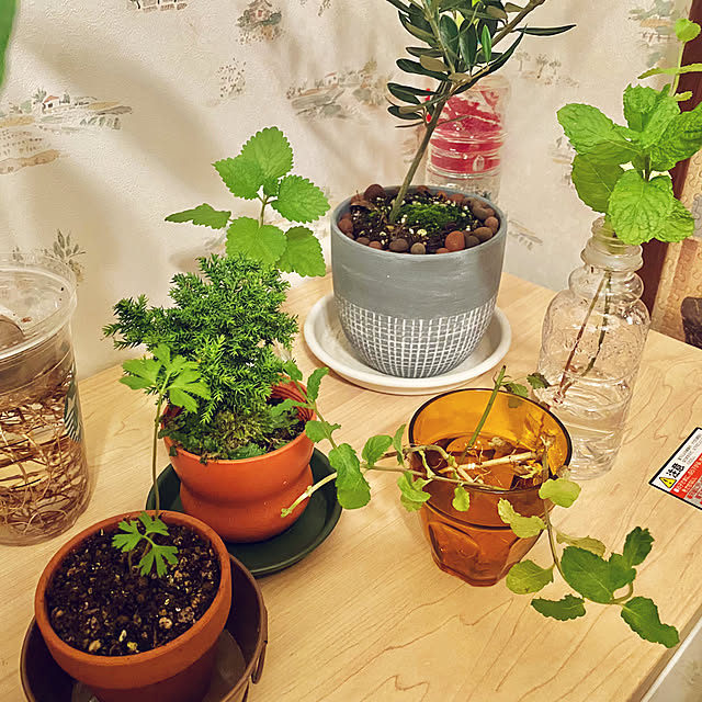 Suuさんの実例写真