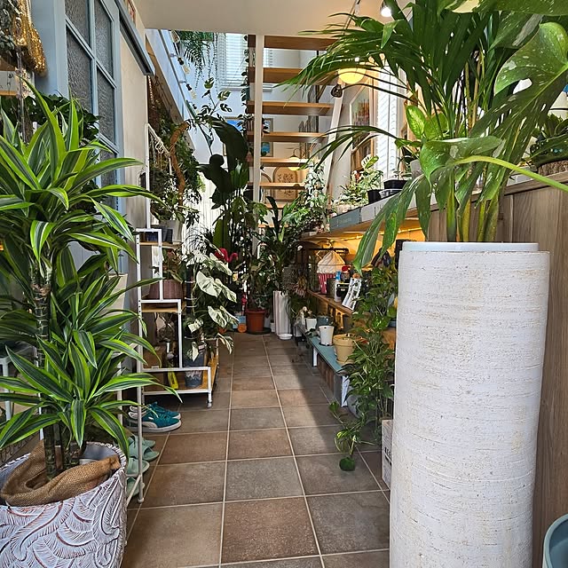 玄関/入り口/観葉植物のある暮らし/観葉植物/土間のある暮らし/土間リビング...などのインテリア実例 - 2026-06-12 13:41:54