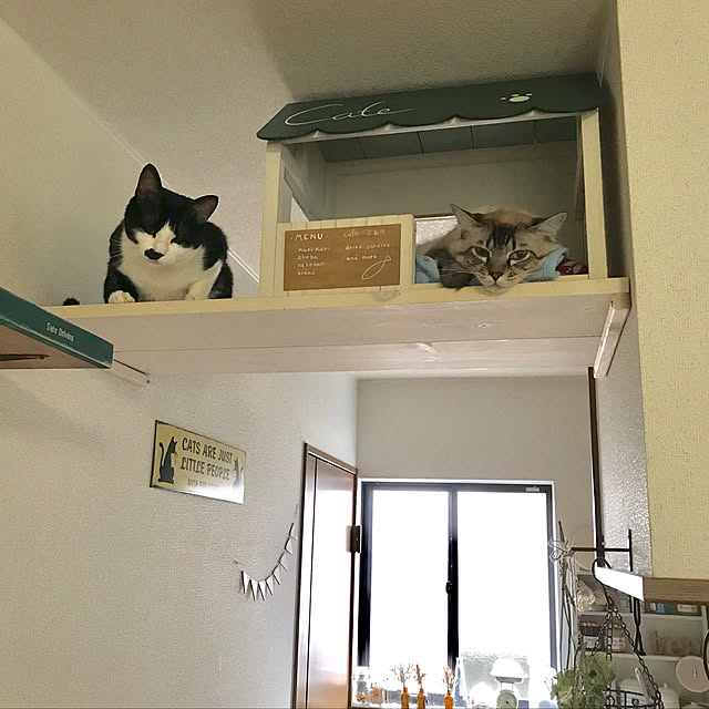 kazaneさんの実例写真