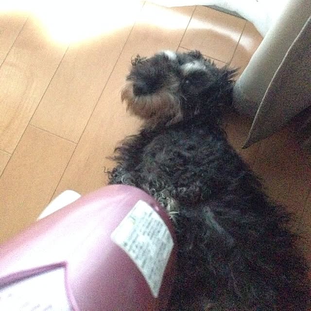 mojyaさんの実例写真