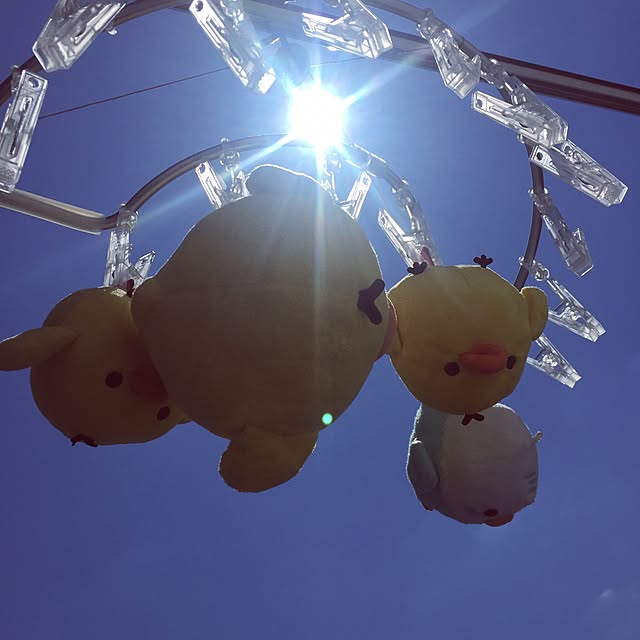 Amyさんの実例写真