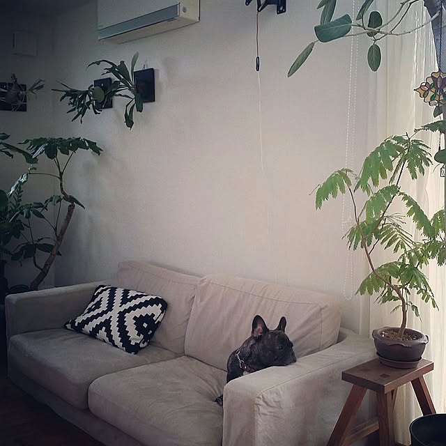 kuuuuさんの実例写真