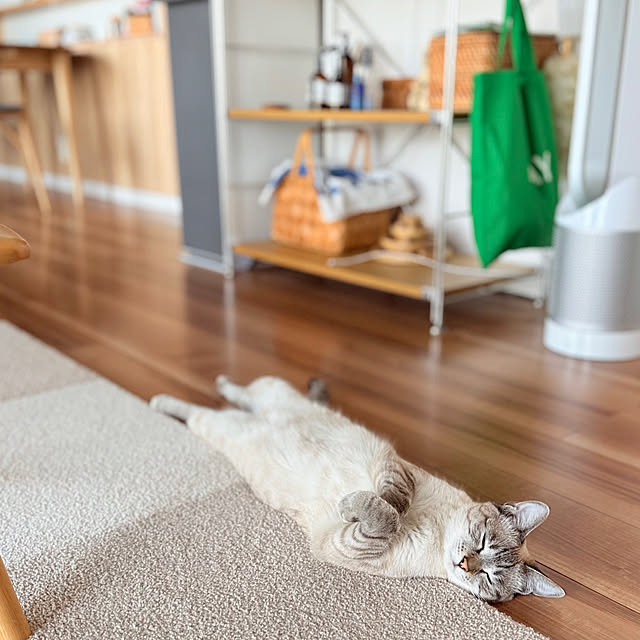 amさんの実例写真