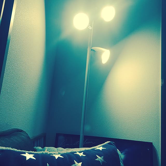 killer.dsさんの実例写真