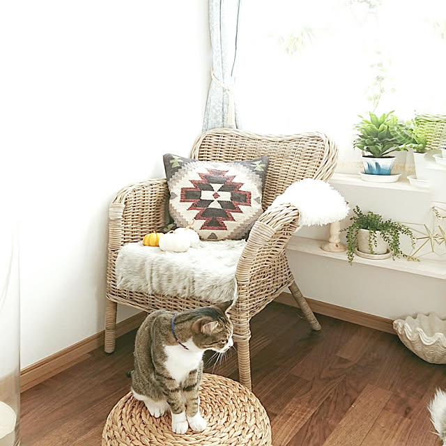 MoMosukeさんの実例写真