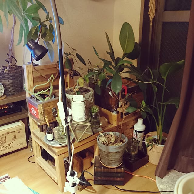 rrikiyさんの実例写真