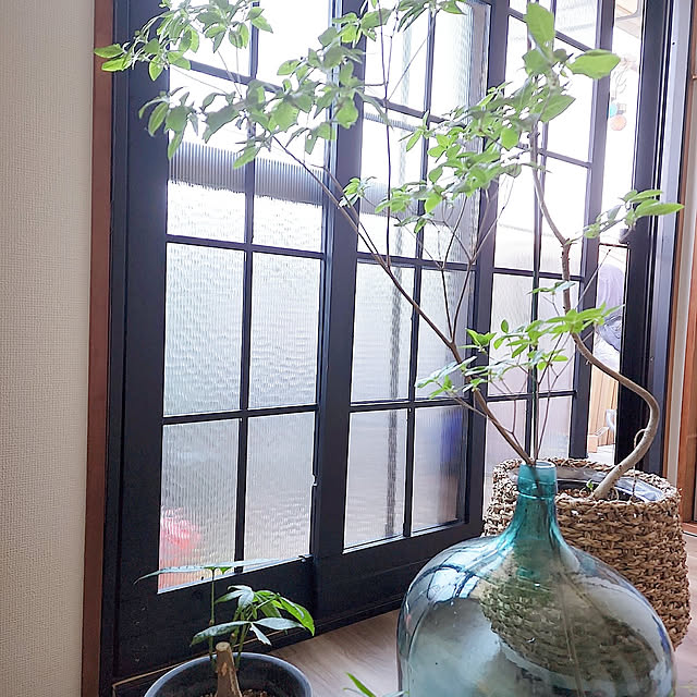 CYNOSさんの実例写真