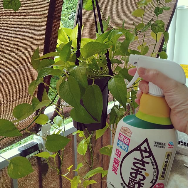 runaさんの実例写真