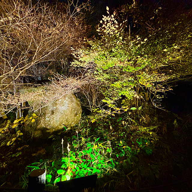 tututu0204さんの部屋