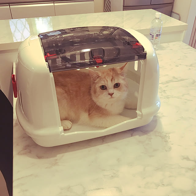 H.Tさんの実例写真