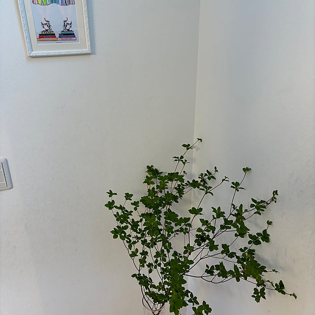 ma-yu-eiさんの部屋