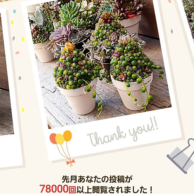 amtさんの実例写真