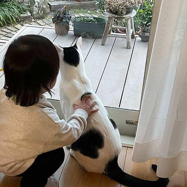 nobikoさんの部屋