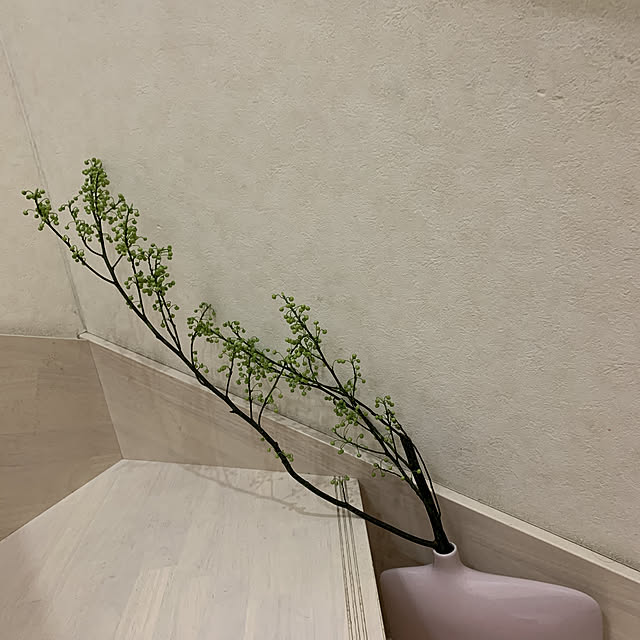 eshinobumさんの実例写真