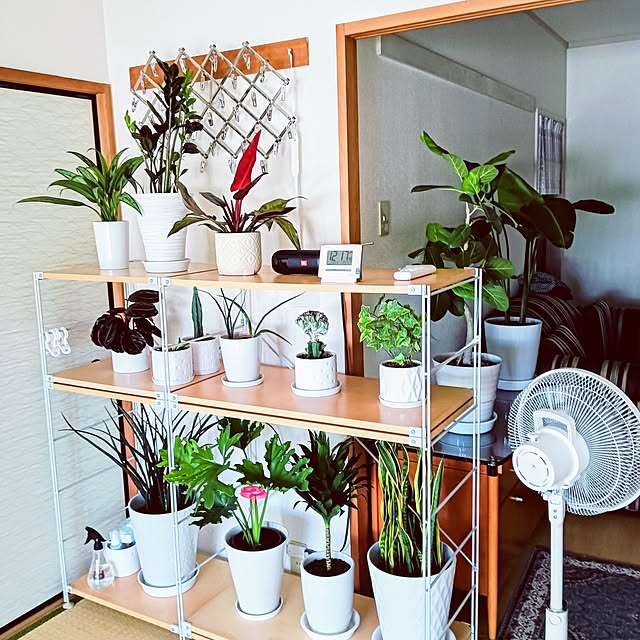 hanachanさんの部屋