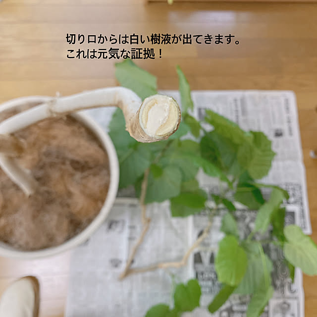 yukaさんの部屋