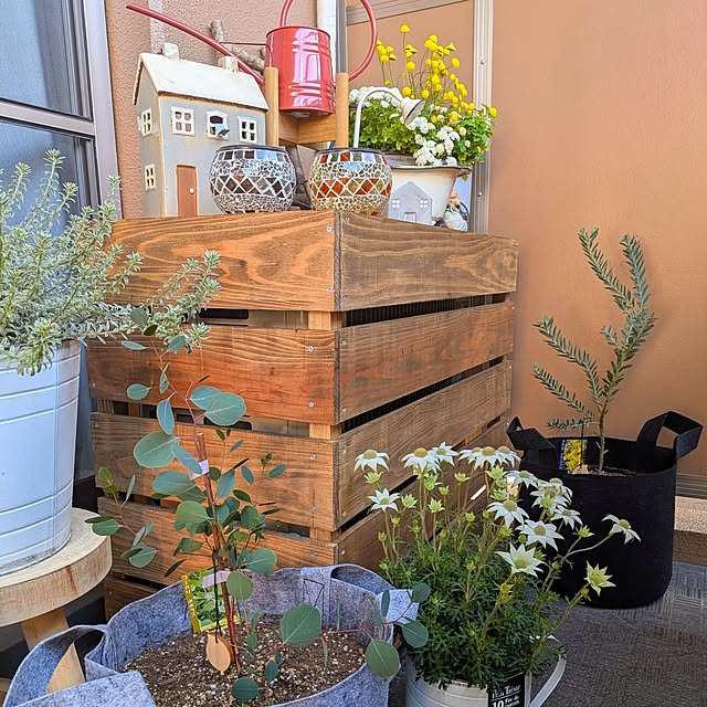 Angelさんの部屋