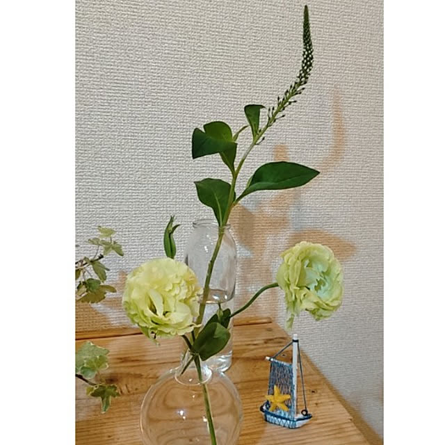 ukiukiさんの実例写真