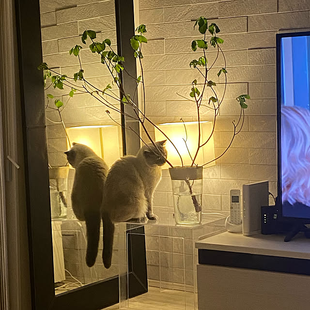 gingerwynksさんの実例写真