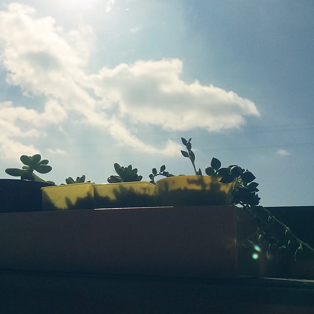 hanaさんの実例写真