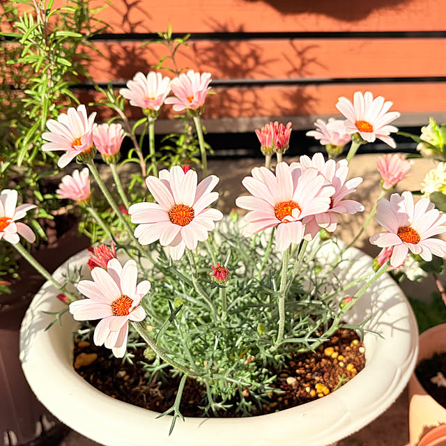 tocchiさんの部屋