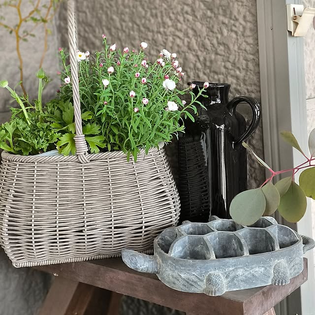 koyutan-mjmさんの実例写真