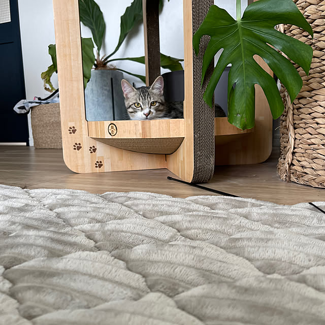 miniさんの部屋