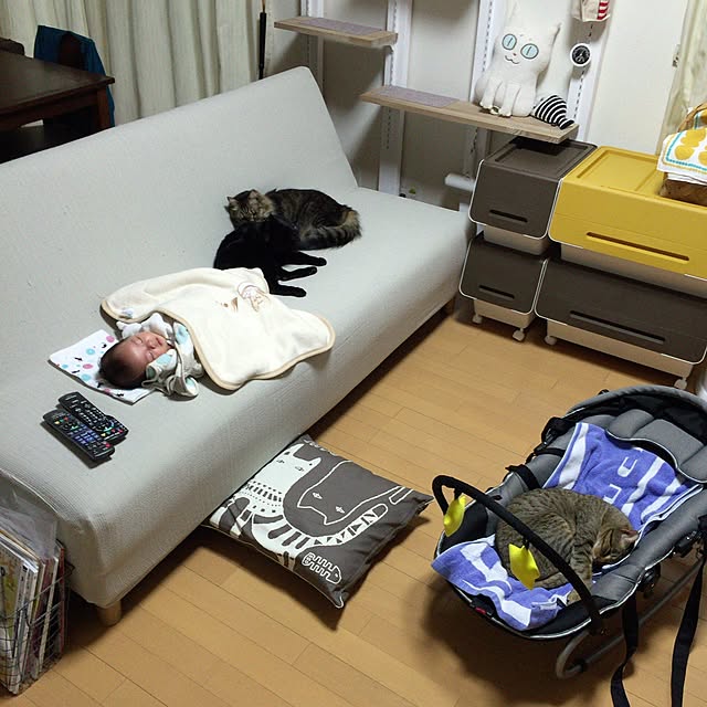 yuki0511さんの実例写真