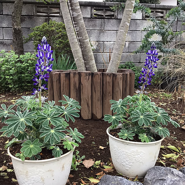 houenさんの部屋