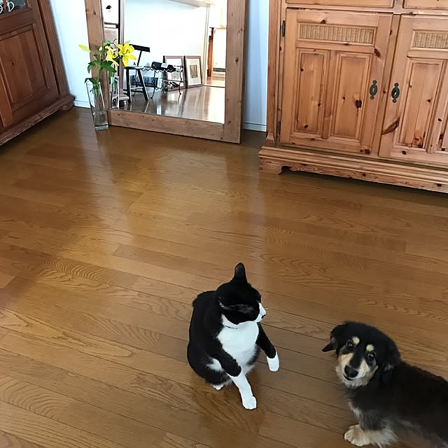 hiyo.pietさんの実例写真