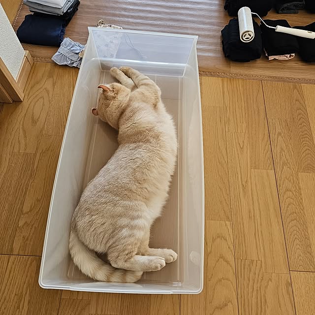 makoさんの部屋