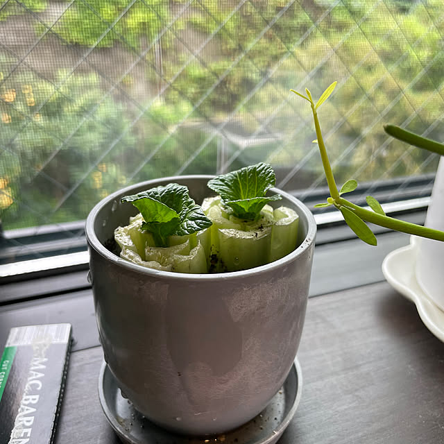 Leokaniさんの実例写真