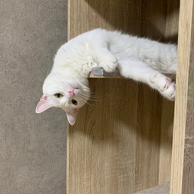 keiさんの実例写真