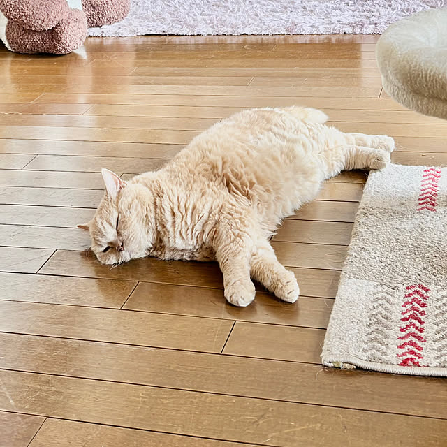 naokoさんの部屋