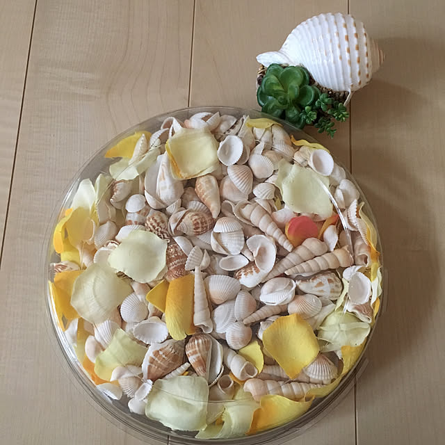 alohamamaさんの実例写真
