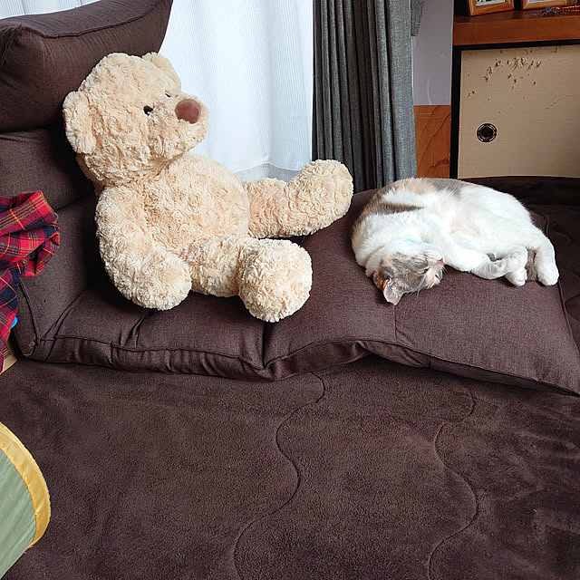 fukuさんの実例写真