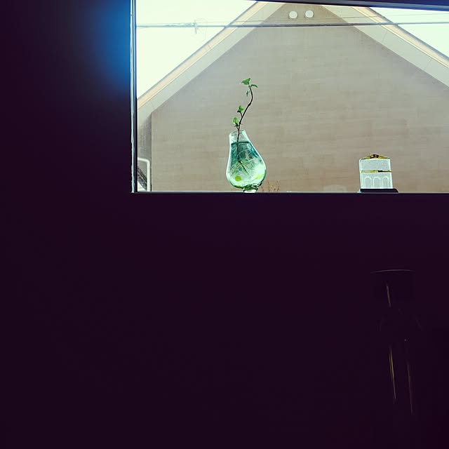 kiwi_peaさんの実例写真