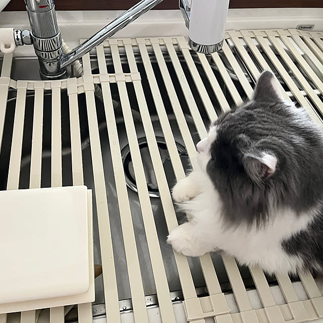 apoohさんの実例写真