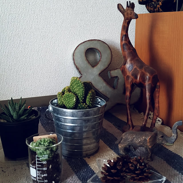 pinkoさんの実例写真