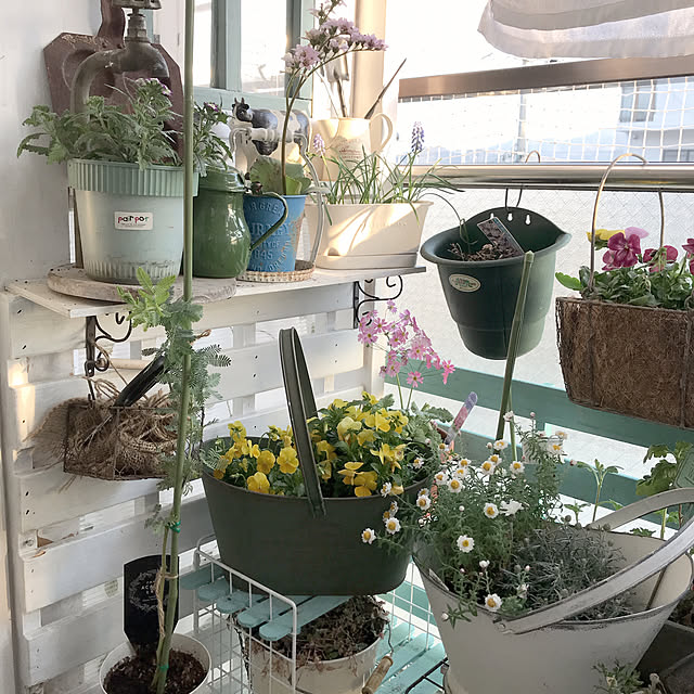 Atsukoさんの部屋