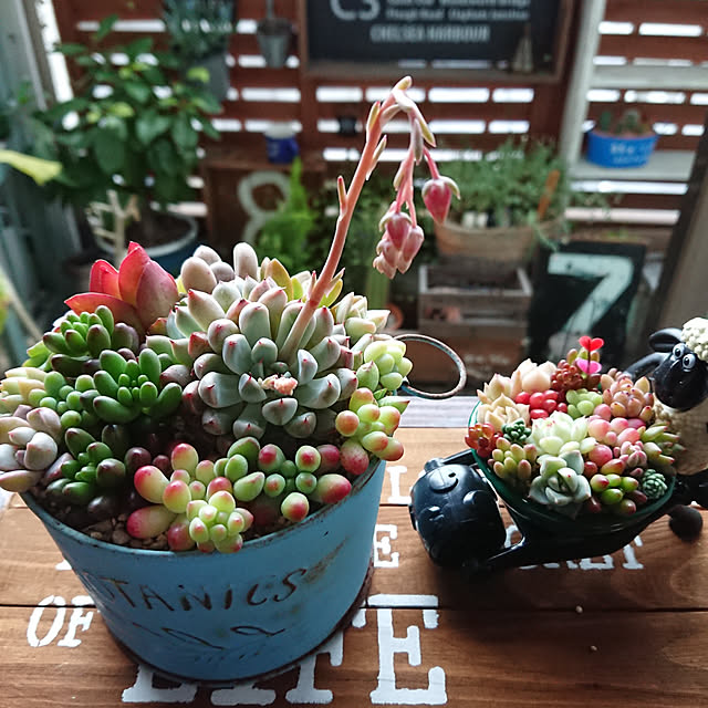 karinさんの実例写真