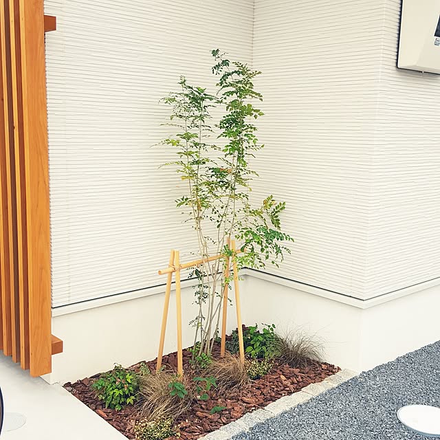 masyuさんの実例写真