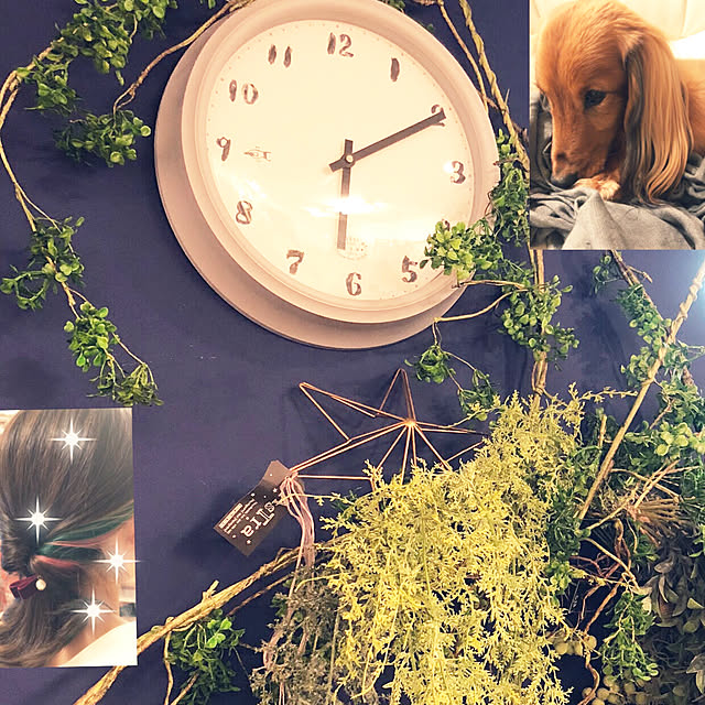 noma--1202さんの実例写真