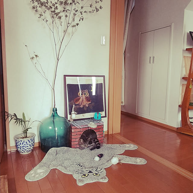 komgi12さんの実例写真