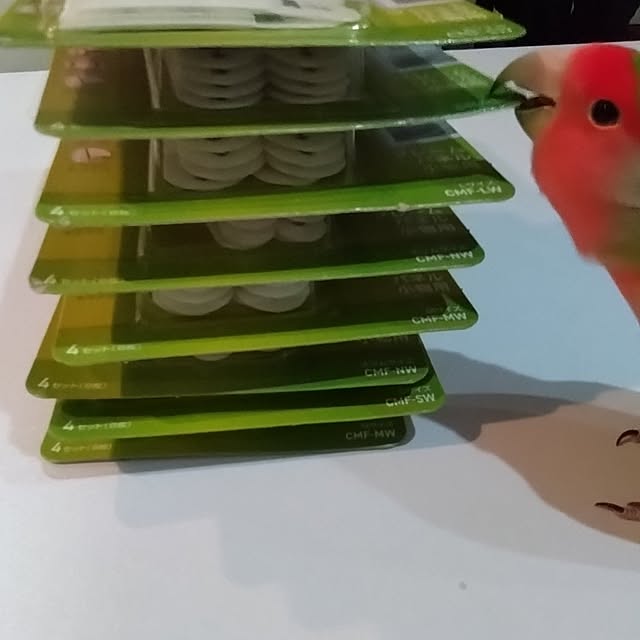 toratanさんの部屋