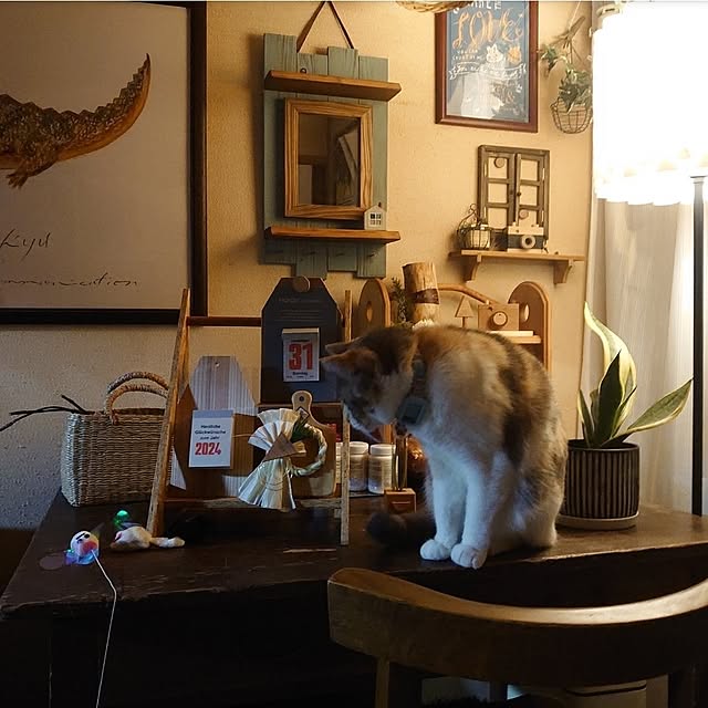 fukuさんの部屋
