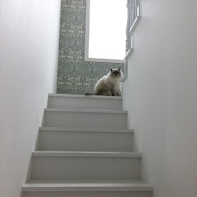 yuchiさんの実例写真
