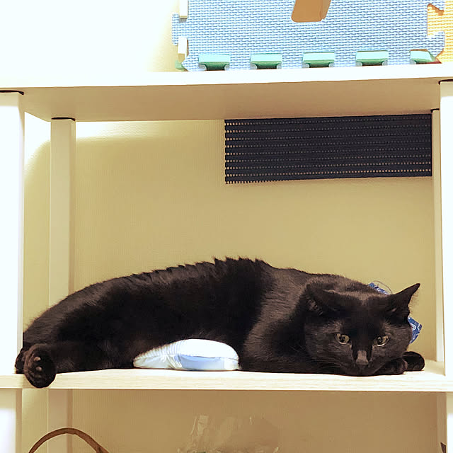 nyaさんの部屋