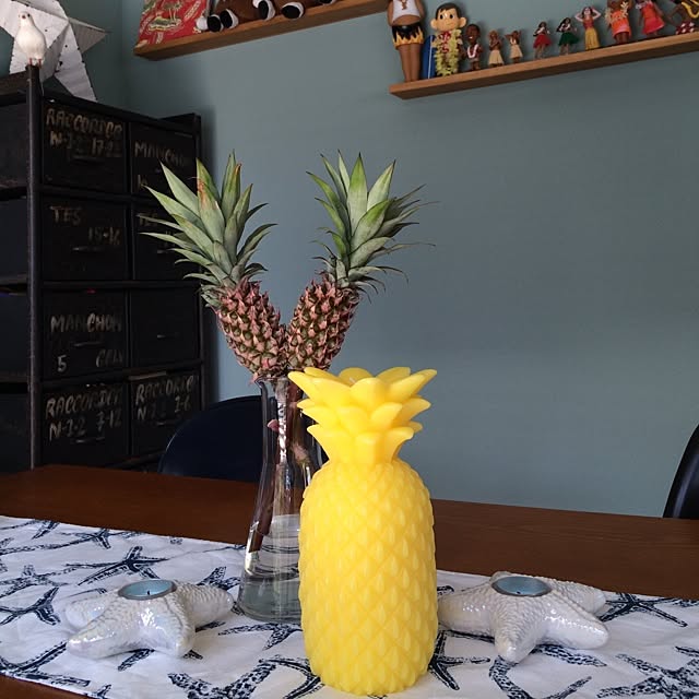 alohaさんの実例写真